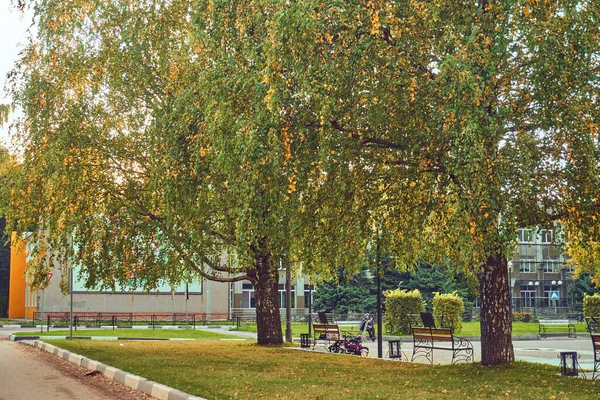 Una calle con árboles, un lugar para relajarse y caminar. Parque con bancos y caminos asfaltados, territorio ajardinado — Foto de Stock
