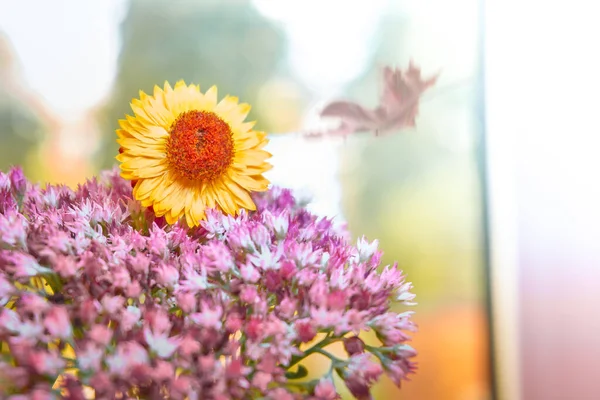 乾燥した花の花束 白い光の背景にハーバリウム ガーデンカモミールの美しい黄色の花 クランチプランの花 — ストック写真