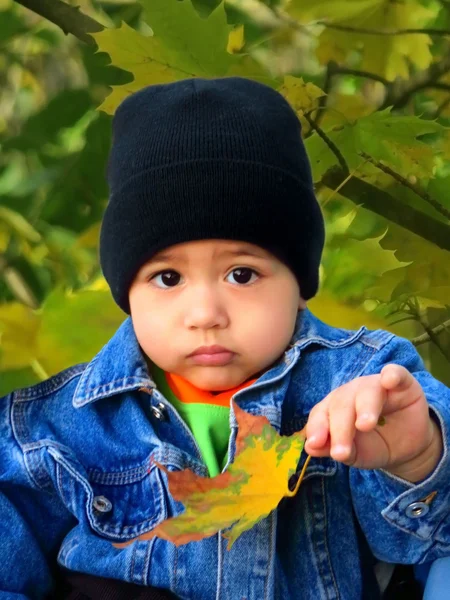 Niño en un parque en el día de otoño —  Fotos de Stock