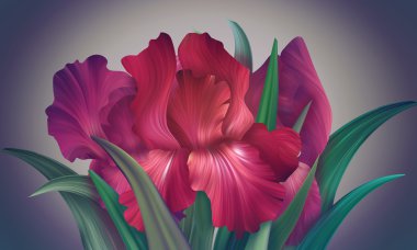 Fantezi Iris çiçekler