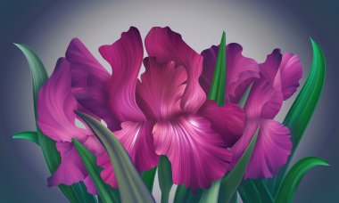 Fantezi Iris çiçekler