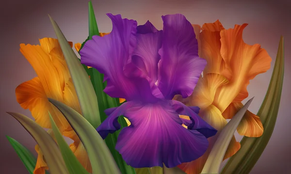 Λουλούδια Ίρις φαντασίας — Φωτογραφία Αρχείου