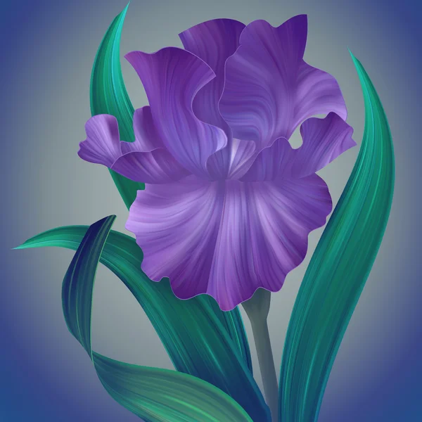 Fantasy Iris Flower — Stock Photo, Image