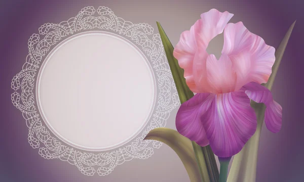 Iris Flower met lacy frame — Stockfoto