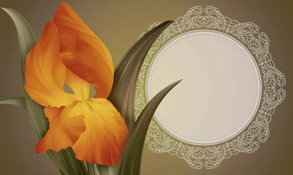 Iris Flower koronkowy ramki — Zdjęcie stockowe