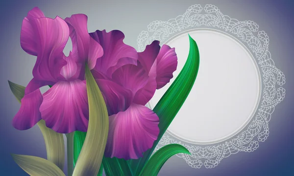 Iris Flores con marco de encaje —  Fotos de Stock