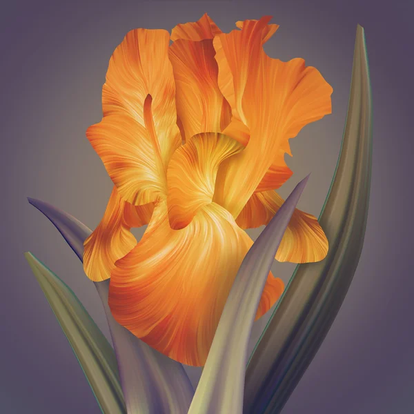 Fantasy Iris Flower — Stock Photo, Image