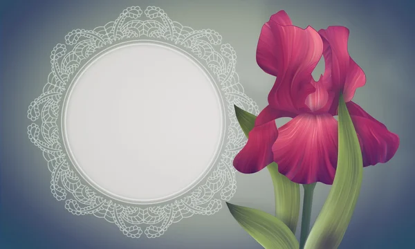 Iris Flower with lacy frame — Stock Photo, Image