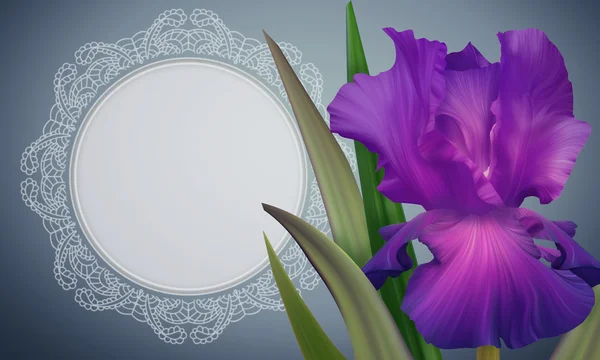 Iris Flower met lacy frame — Stockfoto