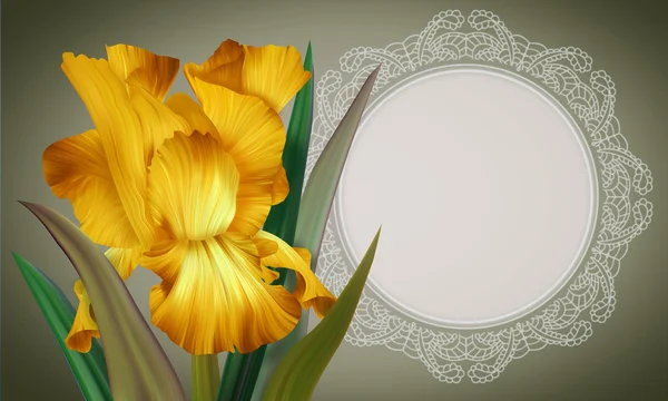 Iris Flower with lacy frame — Stock Photo, Image