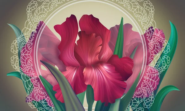 Irys kwiaty z ramą koronkowy — Zdjęcie stockowe
