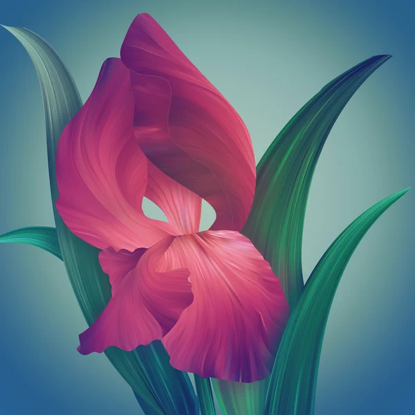 Fantasie-Irisblume — Stockfoto
