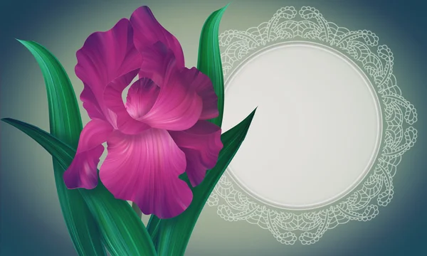 Iris Flower with lacy frame — Stock Photo, Image