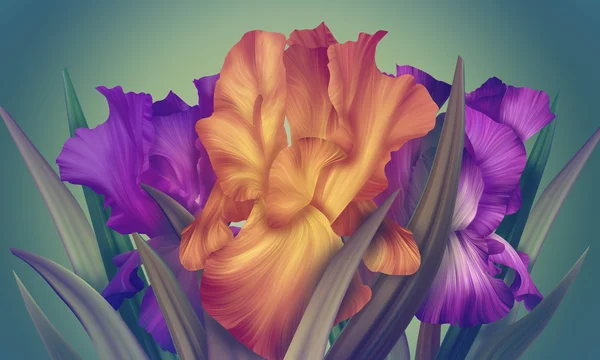 Fantasie-Irisblüten — Stockfoto