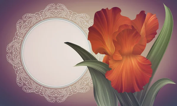 Iris Flower with lacy frame — Stock Photo, Image