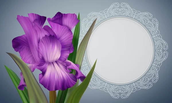 Iris Flor con marco de encaje —  Fotos de Stock