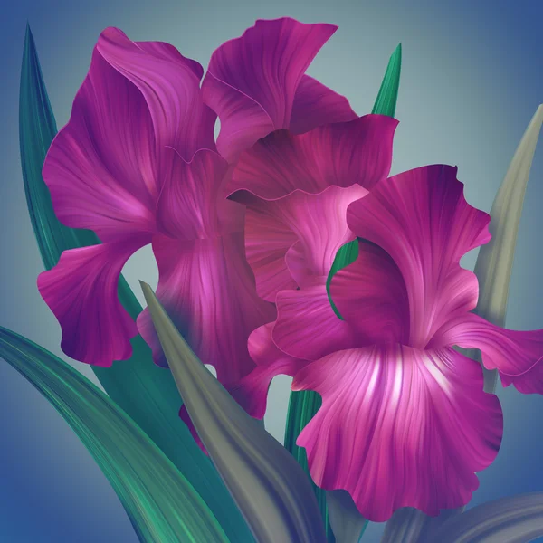 Fantasie-Irisblüten — Stockfoto