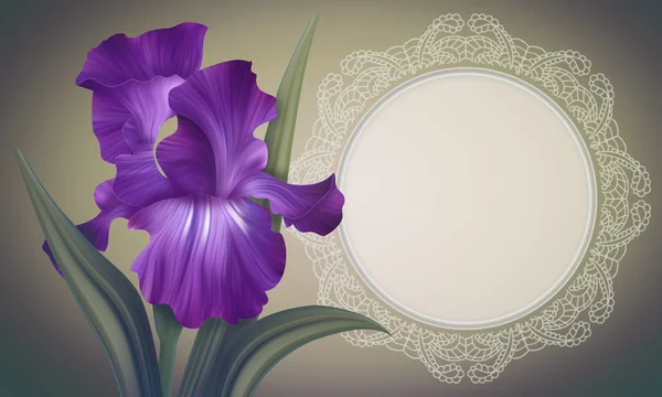 Iris Flower met lacy frame — Stockfoto