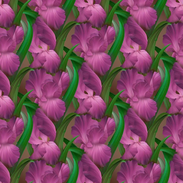 Irises motif sans couture — Photo