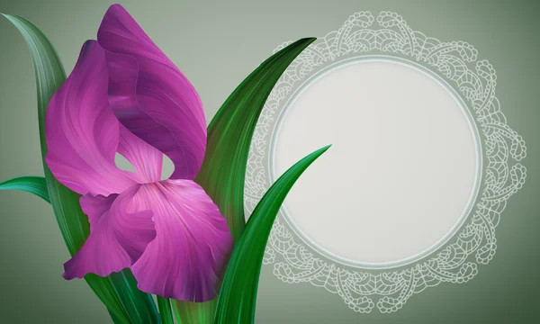 Iris Flower with lacy frame — Stock Photo, Image