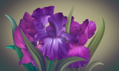 Fantezi Iris çiçekler