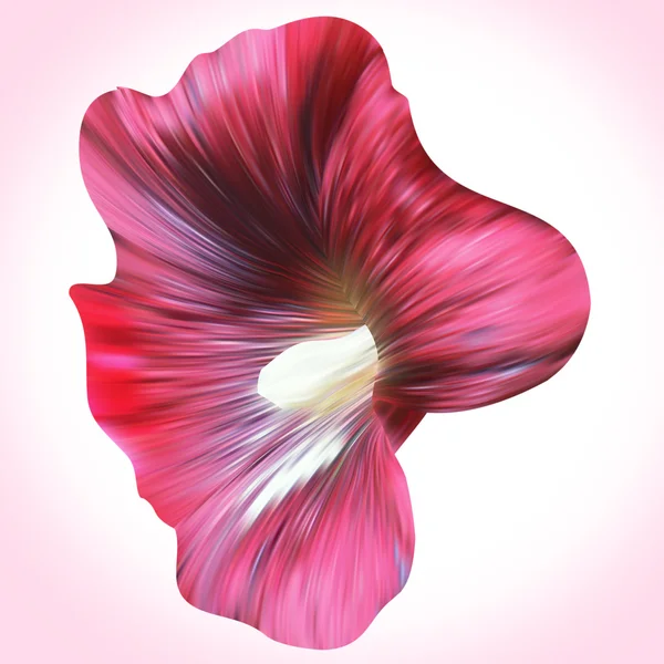 Fialový sléz květ — Stock fotografie