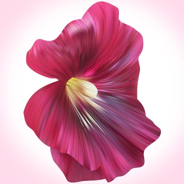 Violette Malvenblüte — Stockfoto