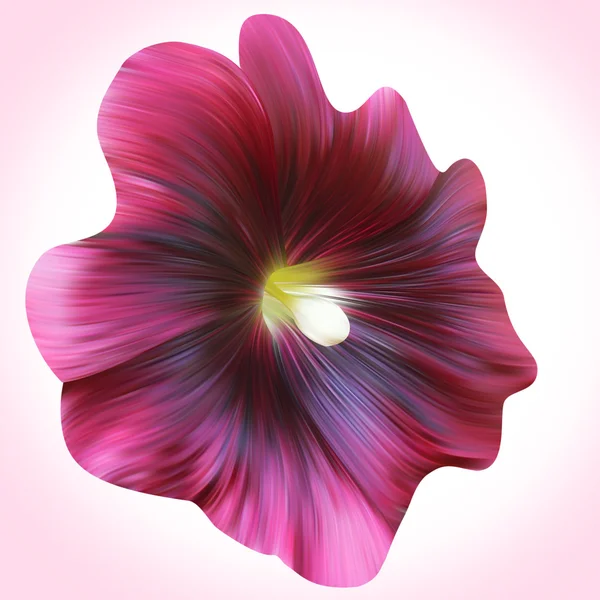 Flor de malva púrpura — Foto de Stock