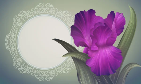 Iris Flower with lacy frame — Stock Photo, Image