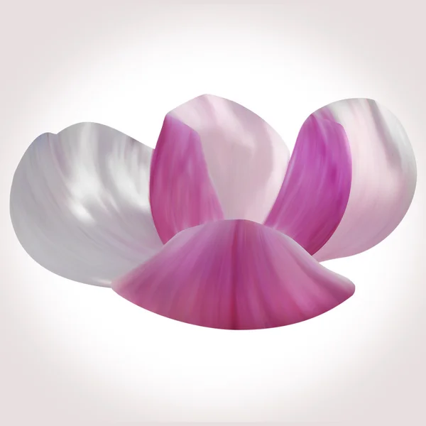 Flor de magnolia blanca — Foto de Stock