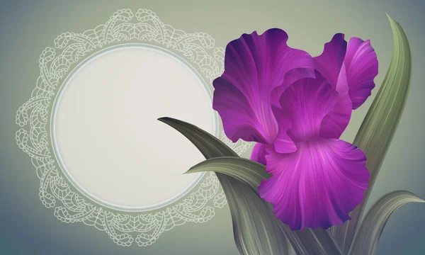 Irisblume mit Spitzen-Rahmen — Stockfoto