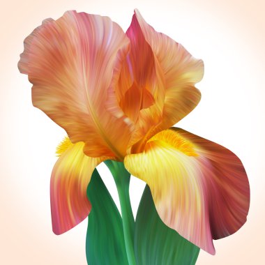 Fantezi turuncu Iris için Tasarım poster, afiş, doğum günü kartı
