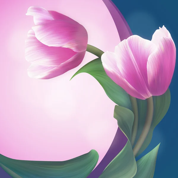 Par das tulipas rosa macias em bela moldura verde . — Fotografia de Stock