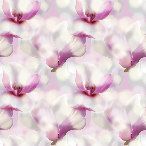 Sladký magnolia bezešvé pattern design textilní banner — Stock fotografie
