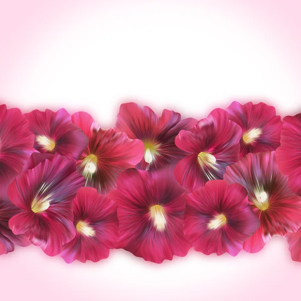 Jasny fioletowy transparent z Mallow kwiaty dla kart upominkowych, plakaty — Zdjęcie stockowe