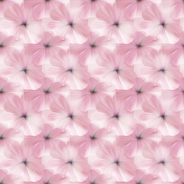 Розовый петуния бесшовный узор для ткани или текстиля . — стоковое фото