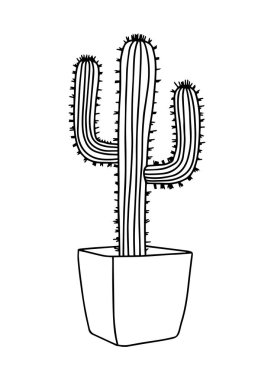 Kaktüs tencerede çizilmiş. Vektör illüstrasyonu