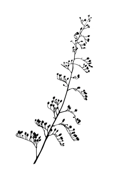 Krásná Větev Stromu Květina Kresba Listovou Rukou Logo Ikona Symbol Royalty Free Stock Vektory