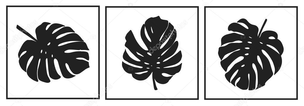 Black and white silhouettes of tropical leaves palms, trees. Vector