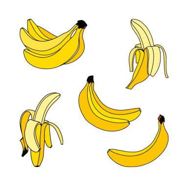 Beyaz arka planda izole edilmiş muz seti. El çizimi vektör resmi.