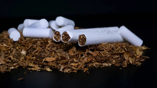 Sigara Cotton Sünger Filtresi, tütün yığını ve siyah arka planda biraz sigara.