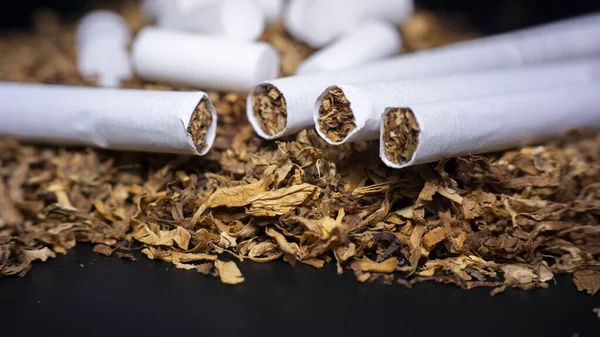 Sigara Cotton Sünger Filtresi, tütün yığını ve siyah arka planda biraz sigara.