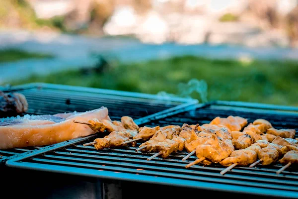 Bahçedeki barbeküde ızgara et..