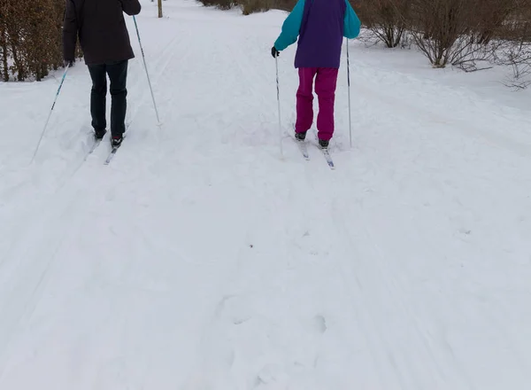 two persons from behind are trying cross-country skiing