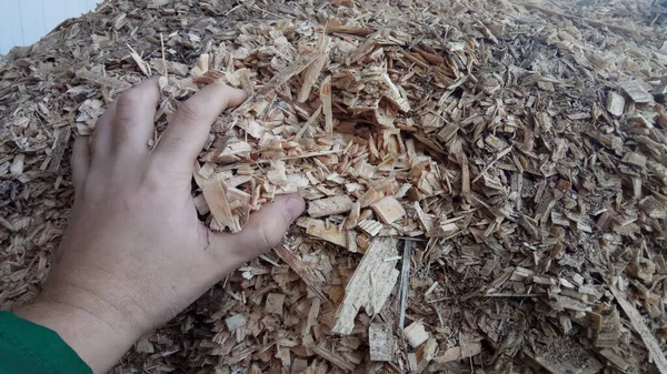 Alternative fuel, ecological fuel, biofuel Charcoal sawdust, sawdust close-up background. Sawdust texture
