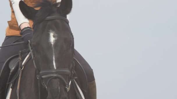 Cowgirl rida svart häst ultrarapid amerikansk skott — Stockvideo