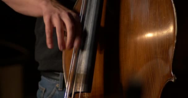 Muzyk jazzowy grać kontrabas — Wideo stockowe