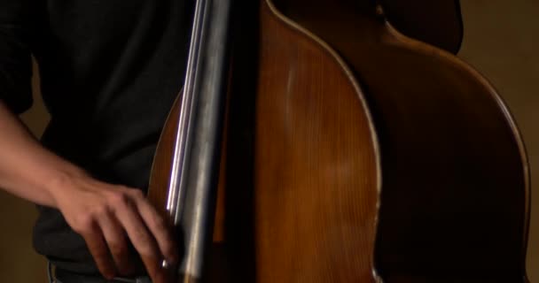 Jazz musicus Speel contrabas — Stockvideo