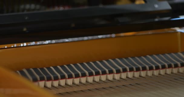 Dentro piano close up tiro — Vídeo de Stock