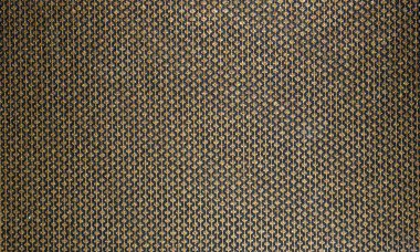 Zengin, tatlım doku kumaş ve duvar kağıdı. Altın siyah bir zemin üzerine elmas desenli çizgiler. Portre